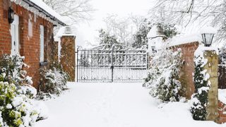 Driveway to rural house in snow