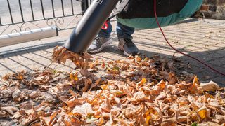 Cleaning Leaves Debris Min