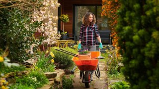 Home gardening equipment min 1