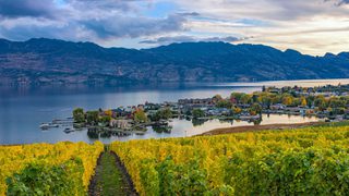 Vinyard Overlooking Kelowna Okanagan Min