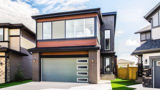 Wayne dalton con 8300 min