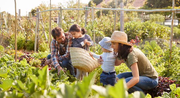 CommunityGardenFamilyHarestingVegetables.jpg?mtime=20180503080205#asset:8239:c624x341