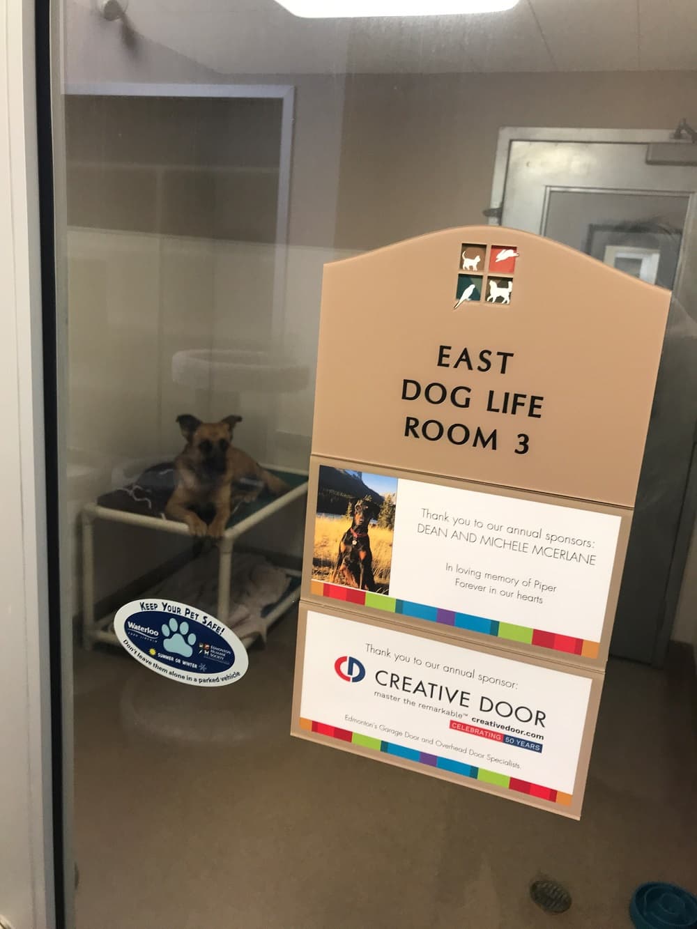 Edmonton-Humane-Society-Bottle-Drive-6.jpg?mtime=20191115205115#asset:15220