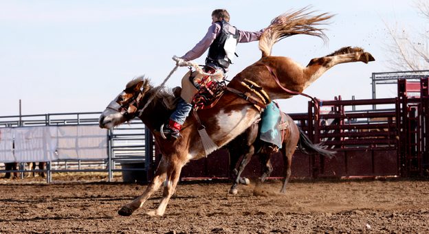 RodeoCowboyOnHorse.jpg?mtime=20180503080220#asset:8242:c624x341