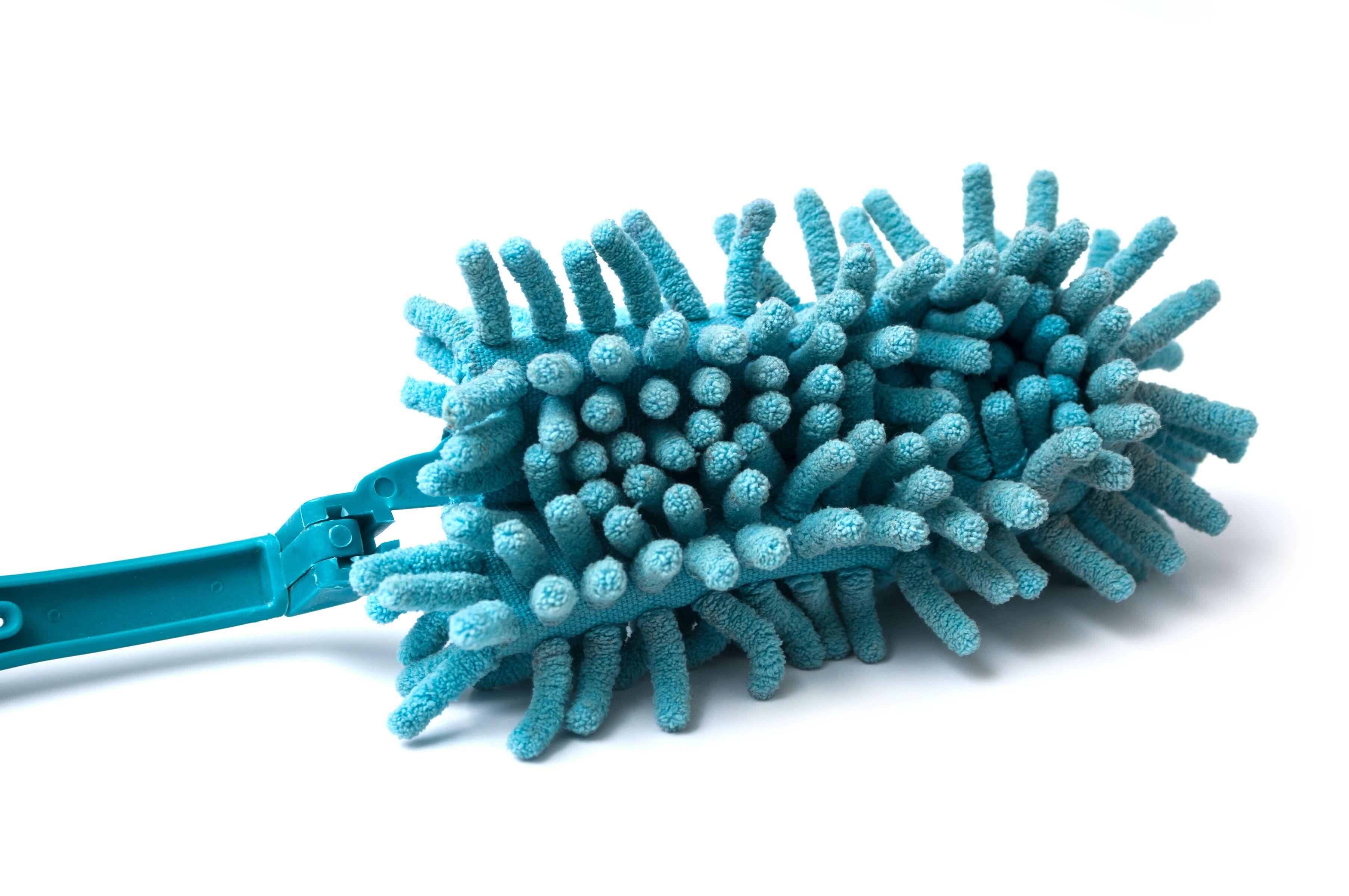 blue-microfibre-brush.jpeg?mtime=20190812090909#asset:13771