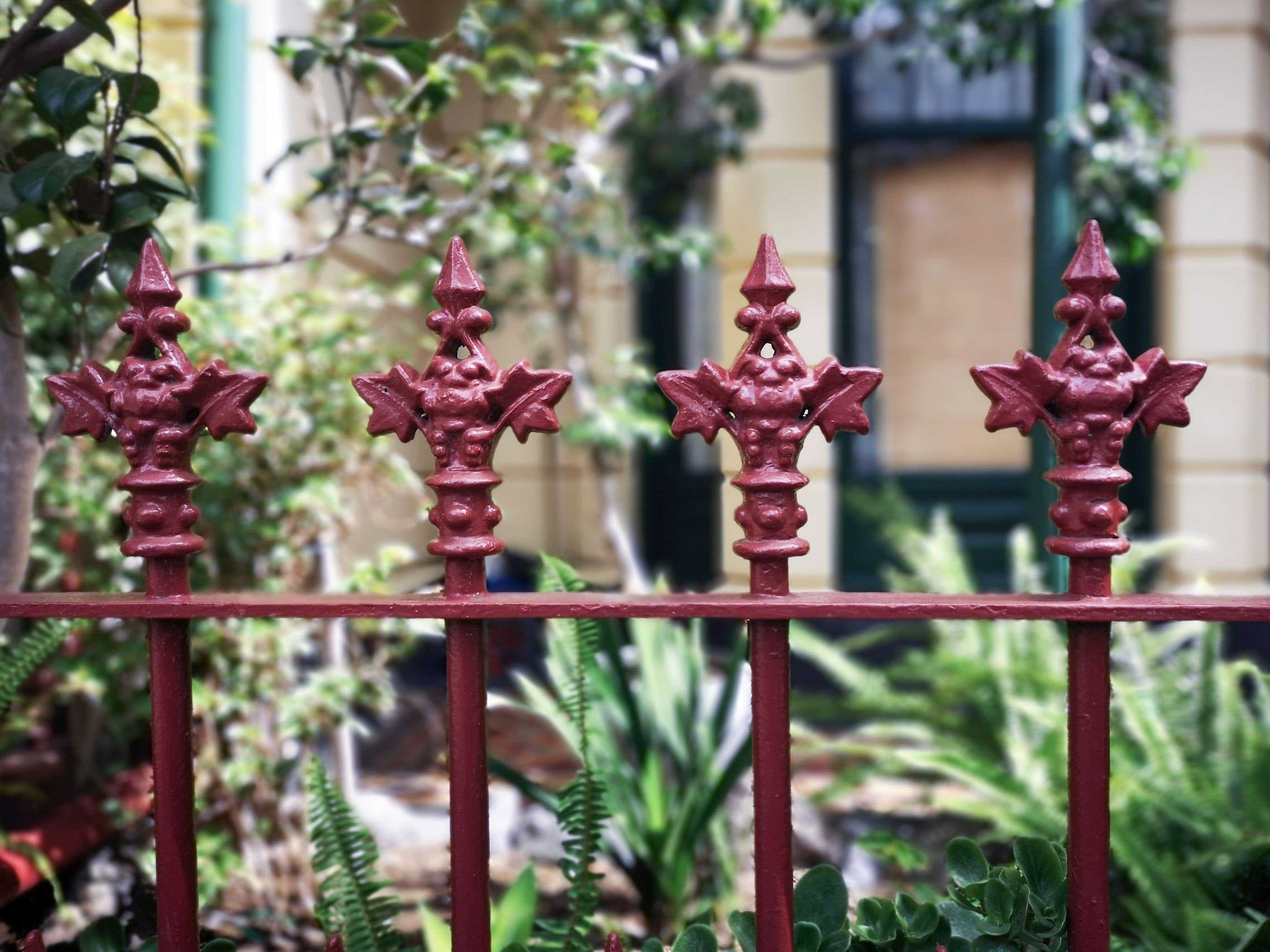 Ornamental iron gate painted burgundy Ornamental iron gate painted burgundy