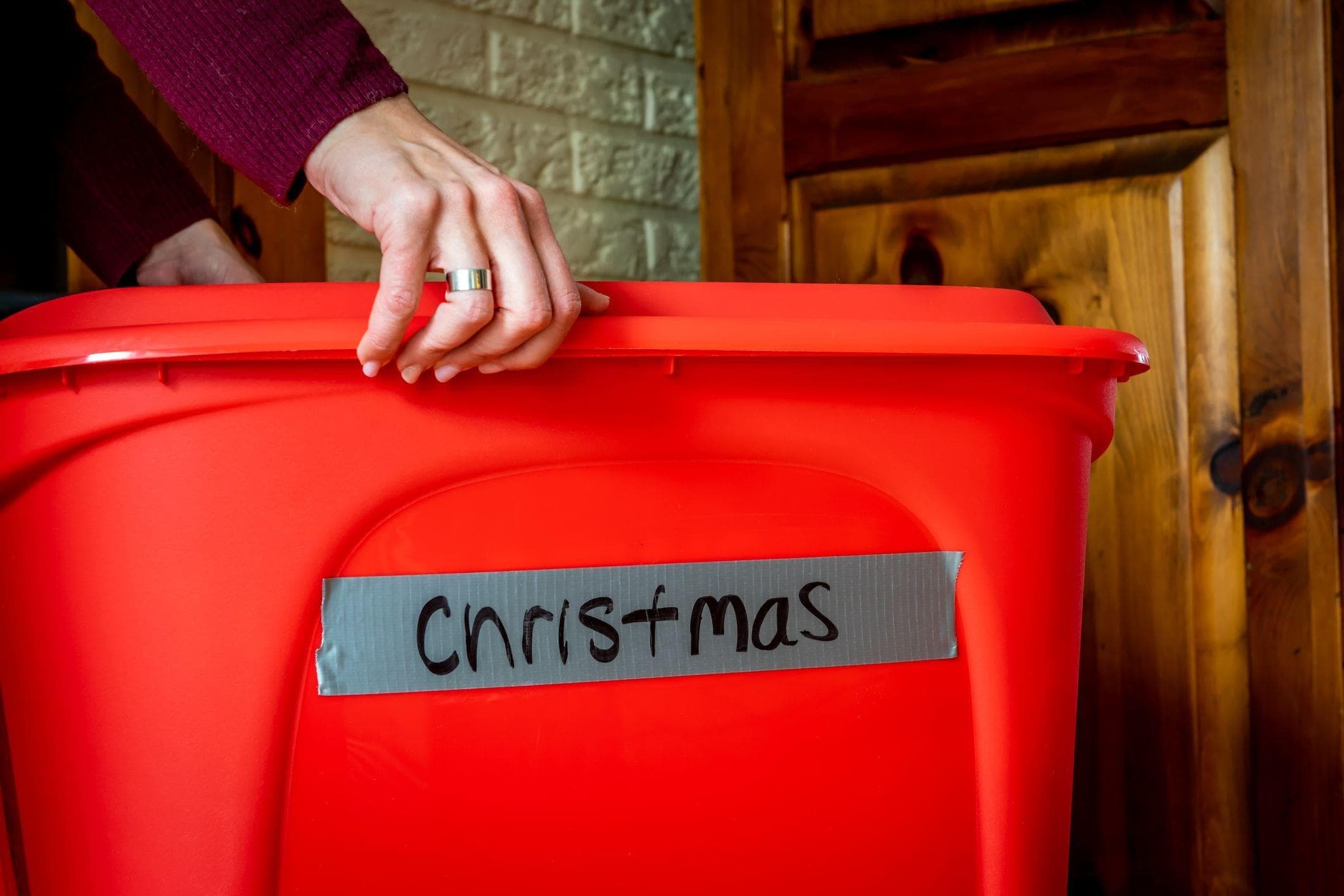 plastic storage box for seasonal decorations