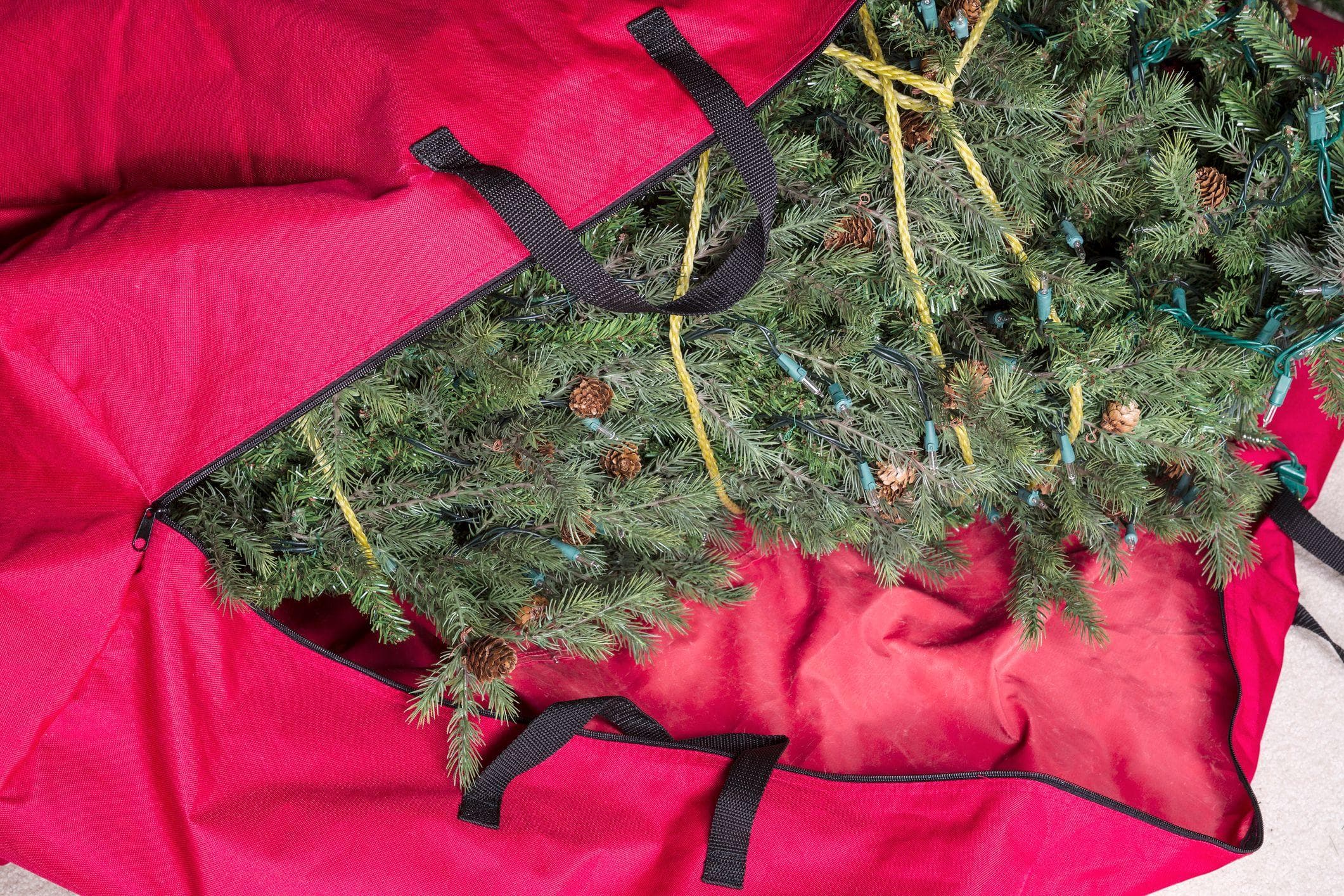 placing christmas tree in a big red storage bag