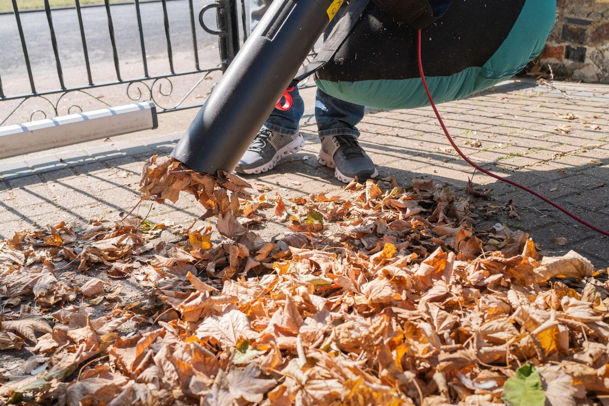 cleaning leaves and debris left over from winter