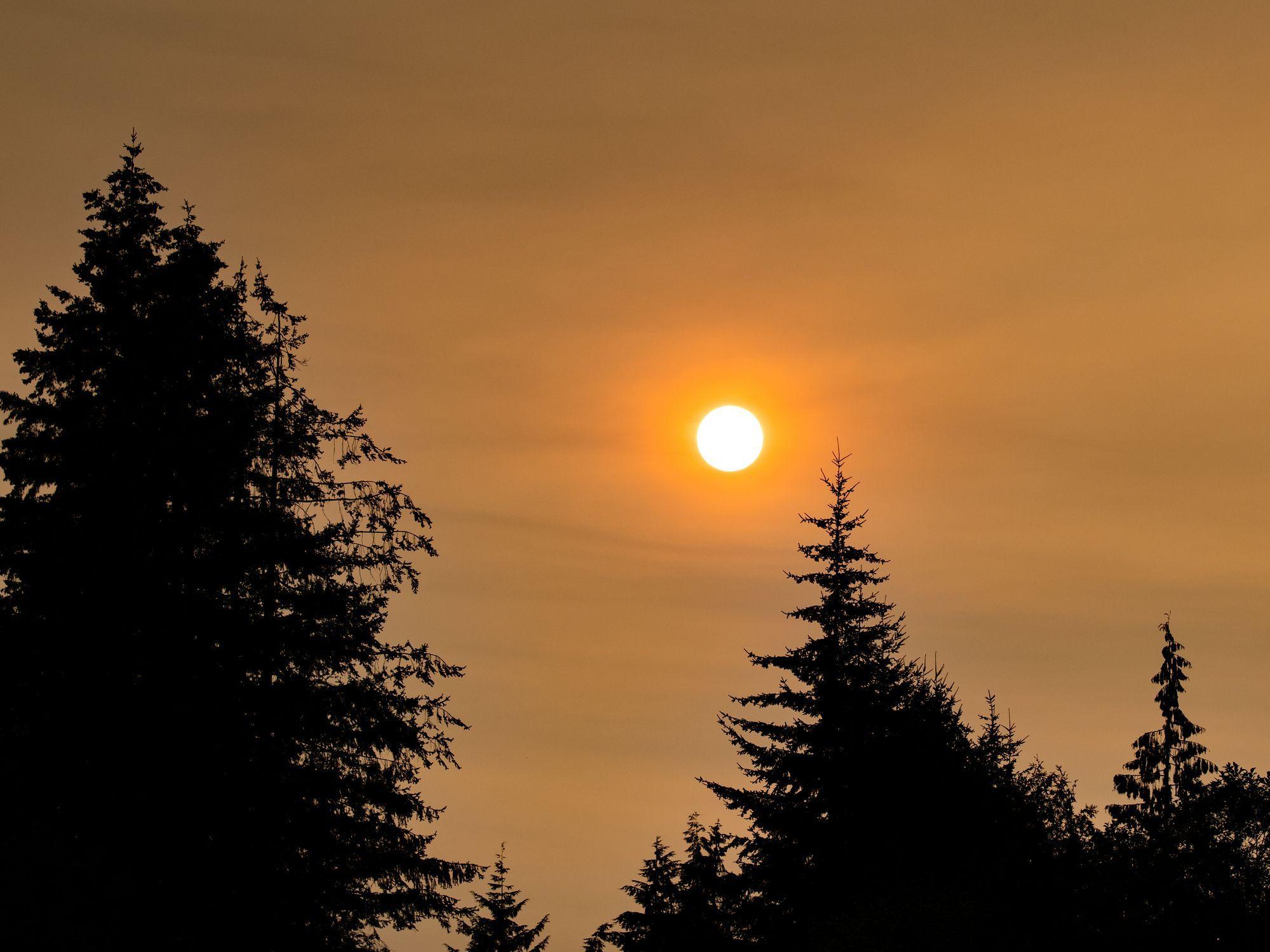 hazy summer sun during heat dome in BC hazy summer sun during heat dome in BC