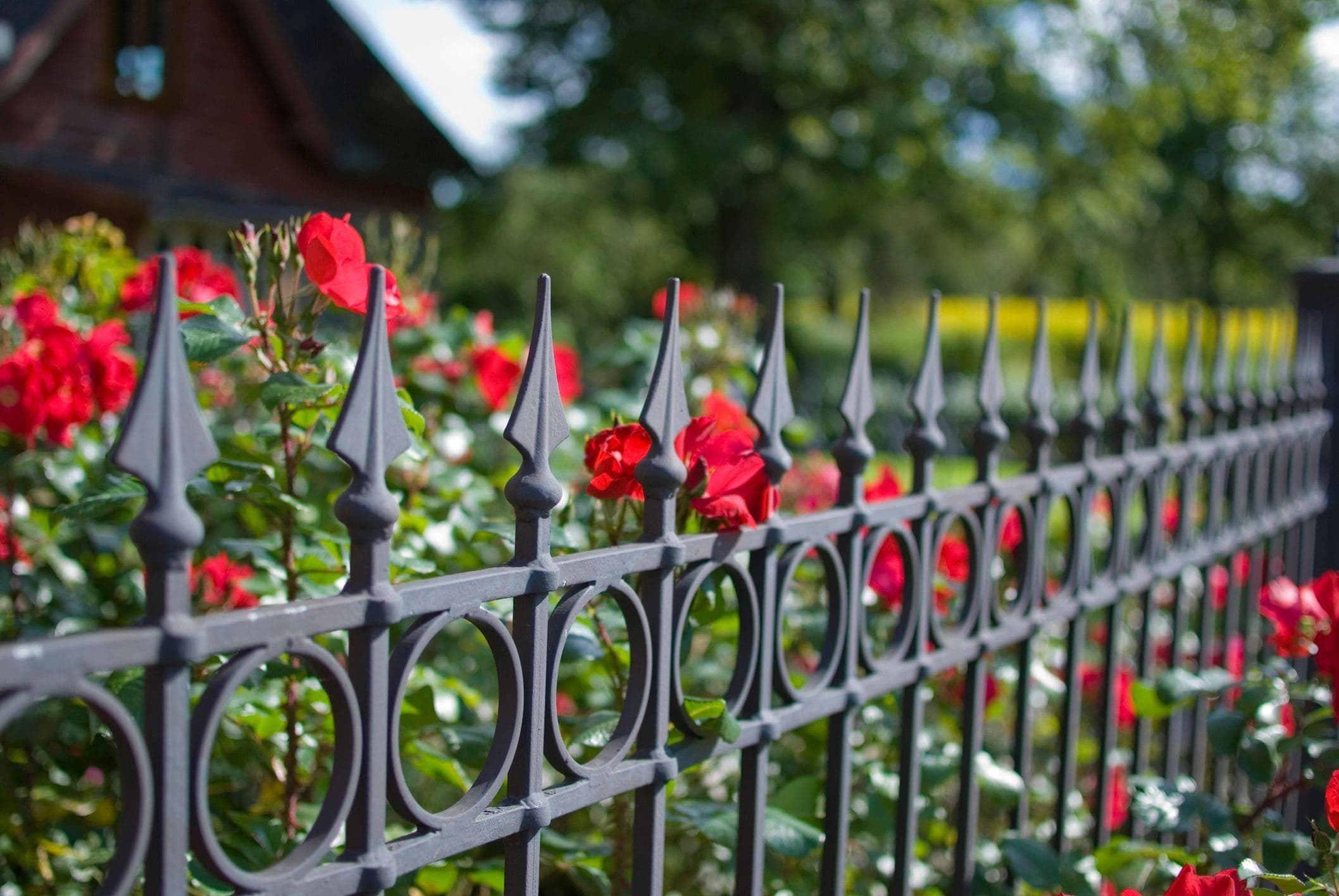 iron gate fencing with flowers