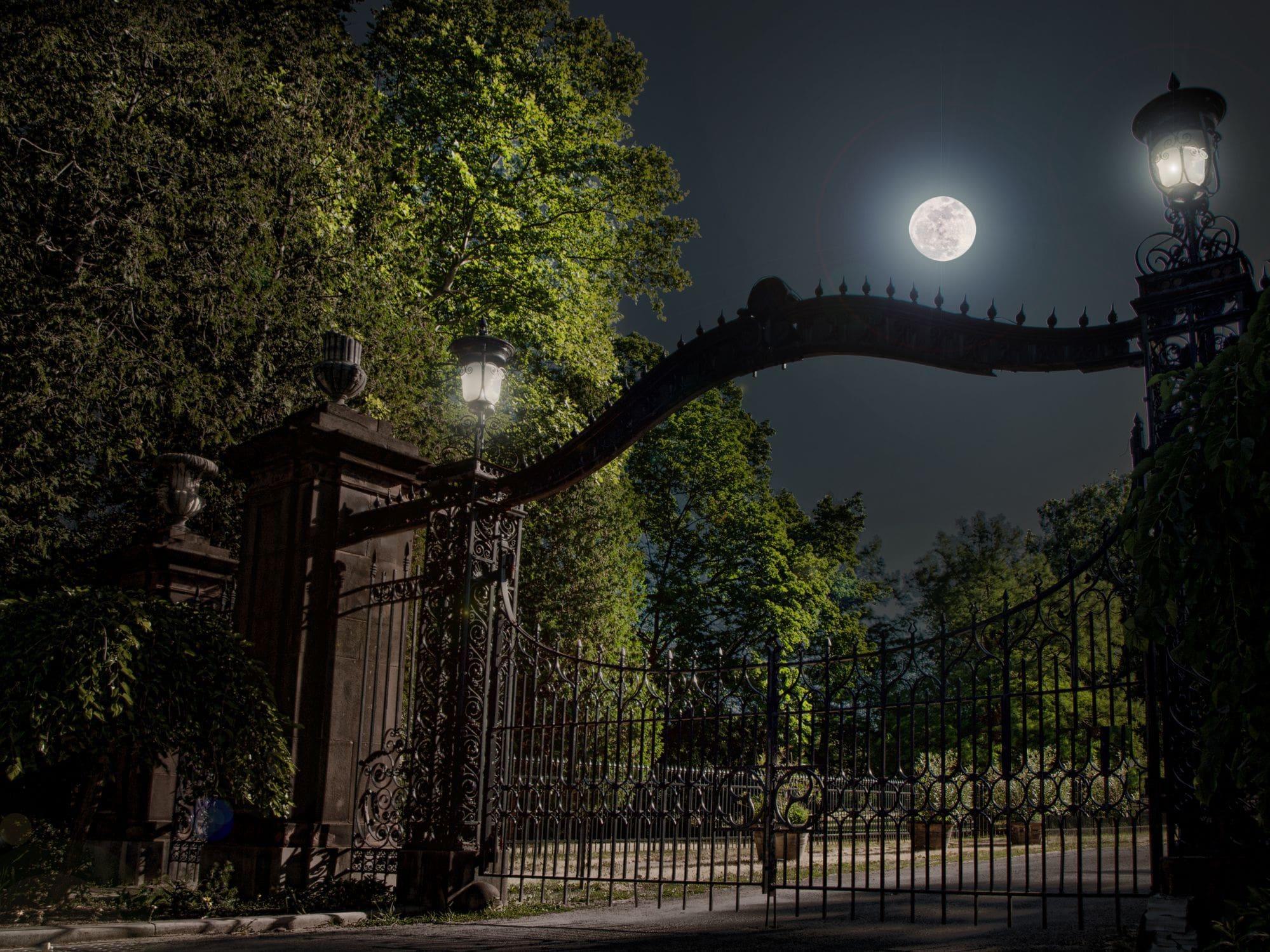 large ornamental gate in the moonlight large ornamental gate in the moonlight
