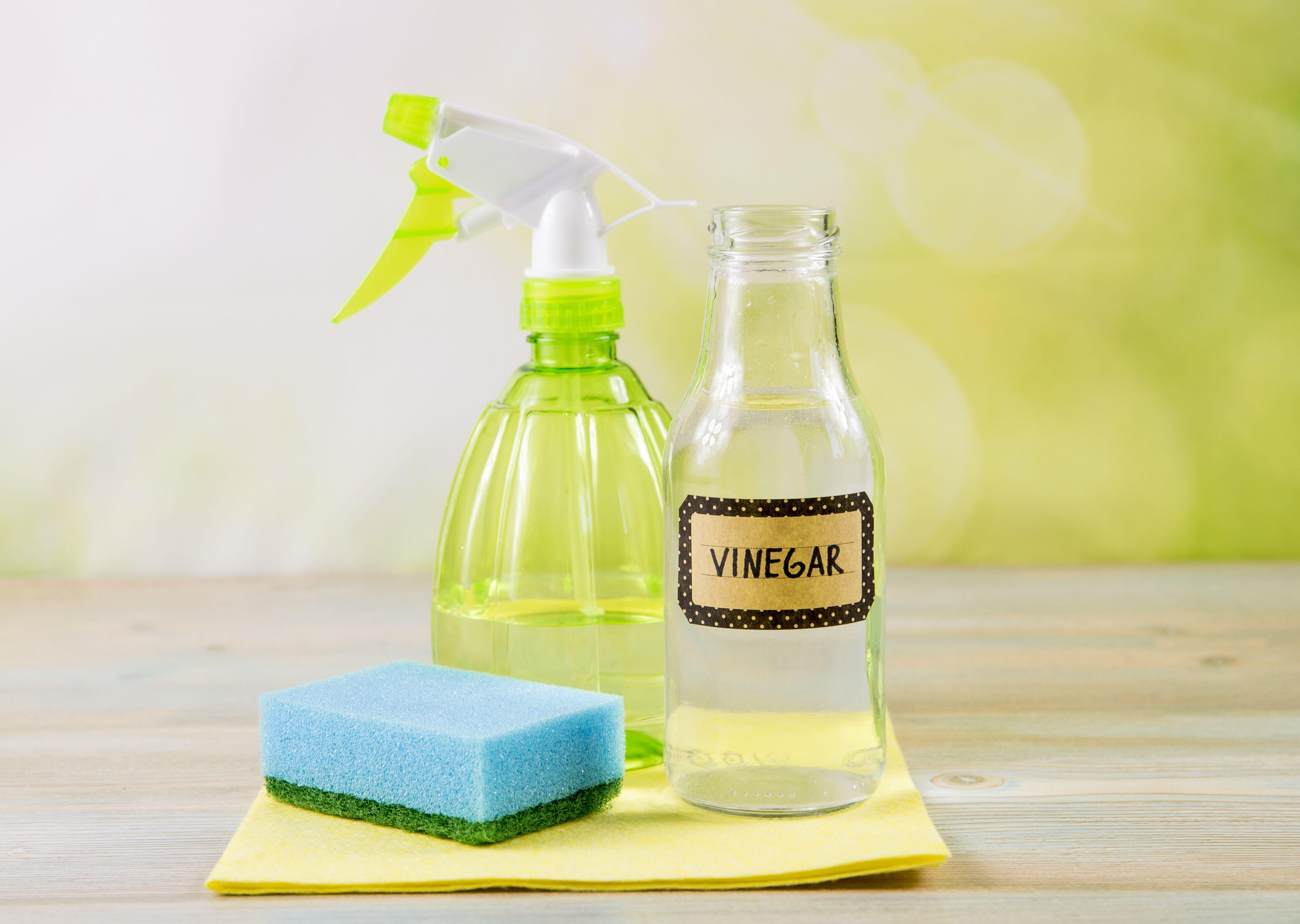 natural-cleaning-supplies.jpeg?mtime=20200220123420#asset:16532