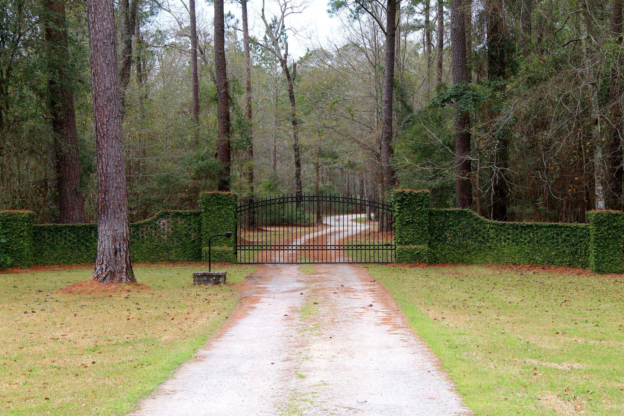 rural automatic driveway gate with large trees