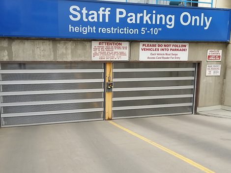 Sunshine Speed Of Light