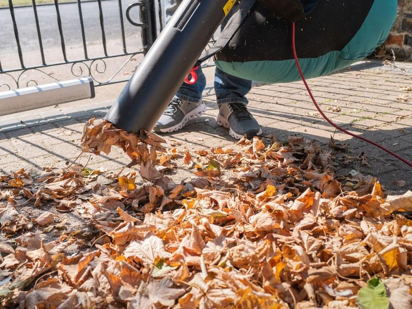 Cleaning Leaves Debris Min