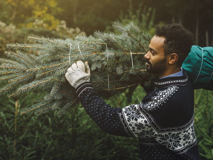guy carrying a christmas tree