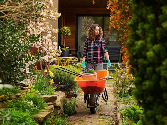 Home gardening equipment min 1