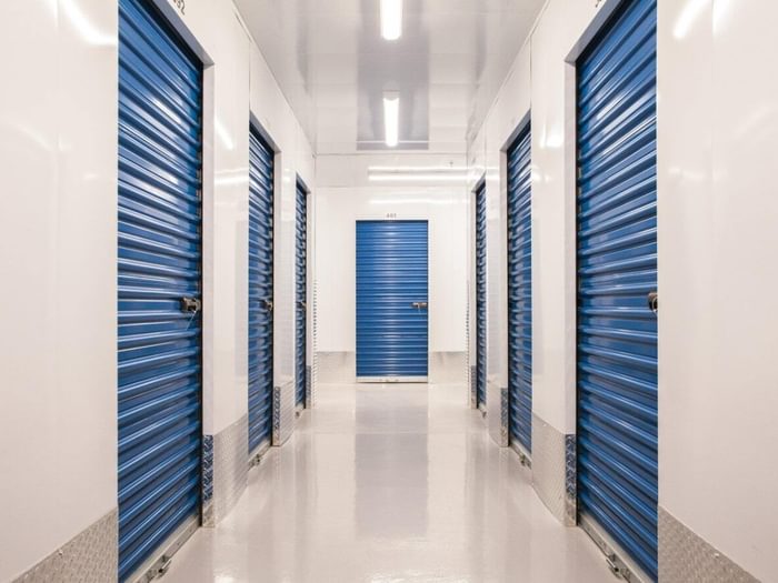 Roll up sheet doors blue min